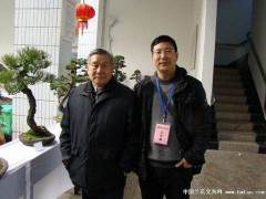 胡乐国搞盆景50年 选取的树桩最贵也没超过4000元