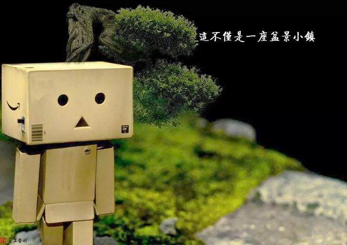 《如皋盆景风情小镇概念规划》(节选)