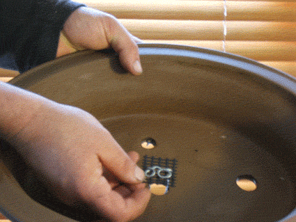 翻盘是为了防止盆景成为根系并且饿死