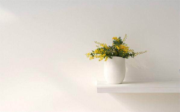 室内花卉价格都较为便宜 每盆售价在10元左右