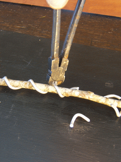 图解 盆景盘扎的常见错误