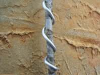 图解 盆景盘扎的常见错误