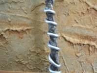 图解 盆景盘扎的常见错误