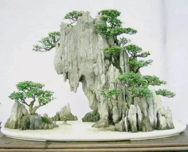 附石盆景 让盆景变得更有趣