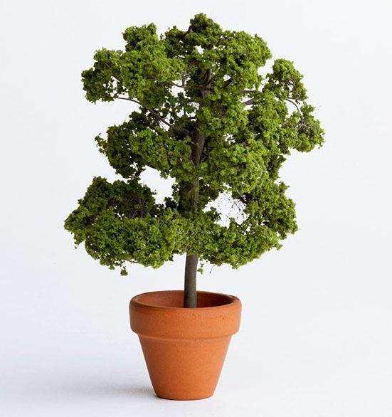 组合盆栽,花店的下一个增长点