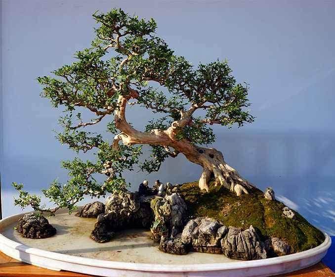 第二届世界盆景艺术创作大会的联合展