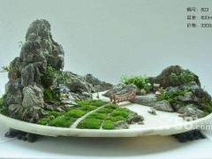 山东省第四届《鲁风》盆景奇石根艺精品展