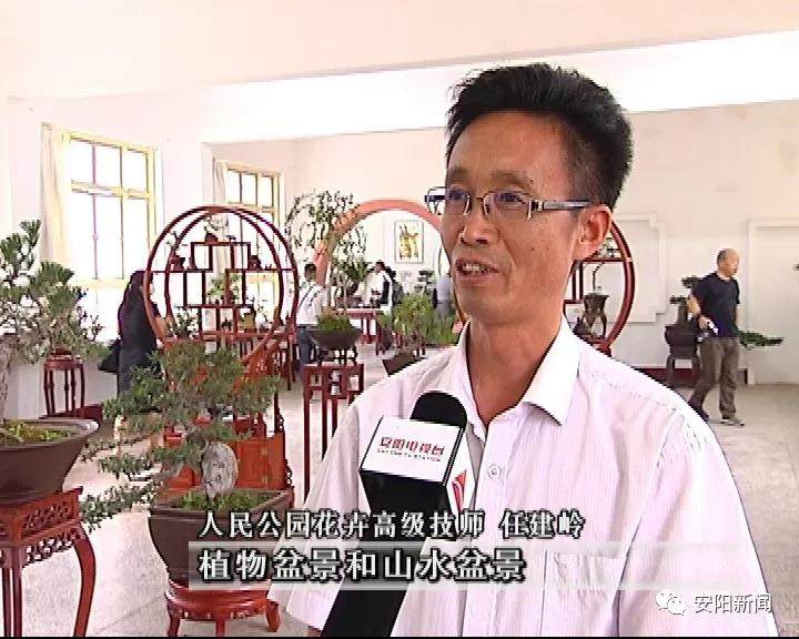 安阳市2018金秋盆景展在人民公园开展