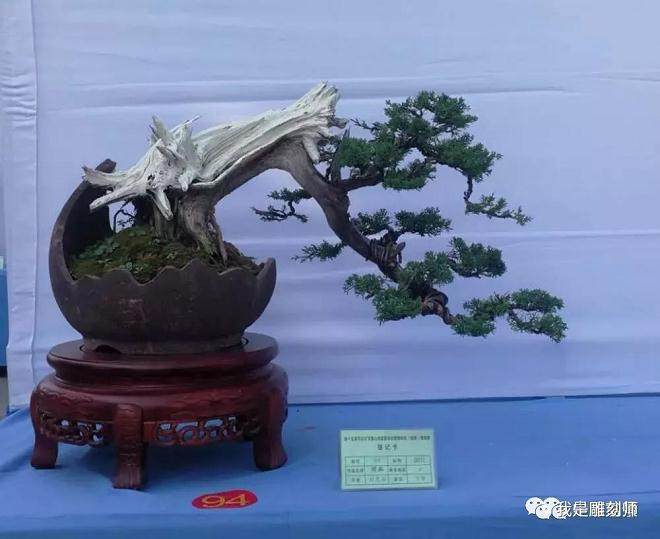 山东盆景协会联盟精品邀请展部分作品欣赏