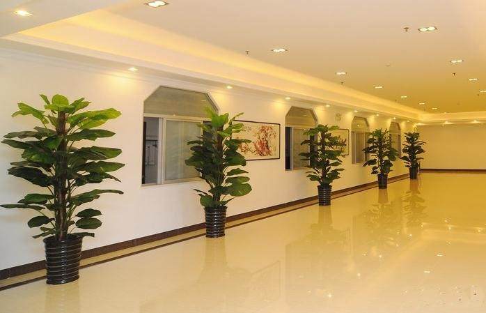 杭州春美盆景租摆有限公司