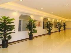 杭州春美盆景租摆有限公司