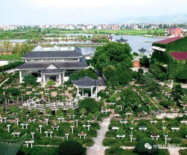 鲍家盆景园位于浙江省杭州市余杭区