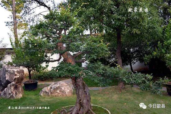 杭州鲍家盆景园