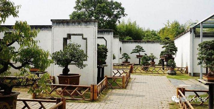 鲍家花园中国最大的私家园林和盆景观赏地