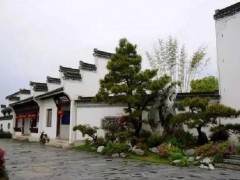 名不见经传的皖南歙县的鲍家盆景花园