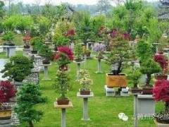 古徽州文化旅游区牌坊群·鲍家盆景花园