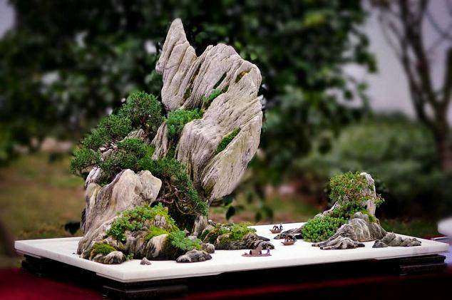 重庆第六届盆景展