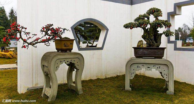 第八届中国盆景展览会颁奖仪式举行