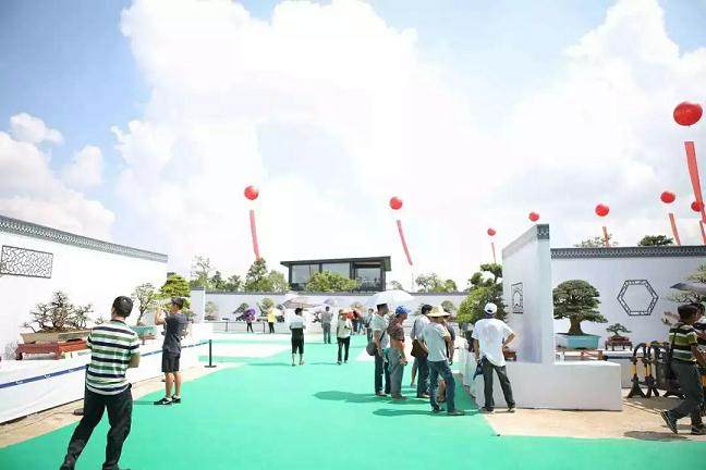 笨鸟文化受邀出席国际盆景协会BCI盆景精品展