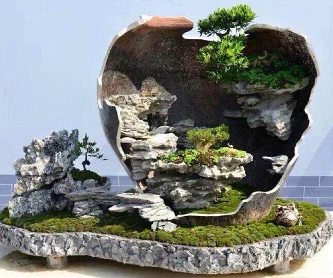 如何更轻松，更快速地创造出漂亮的盆景？