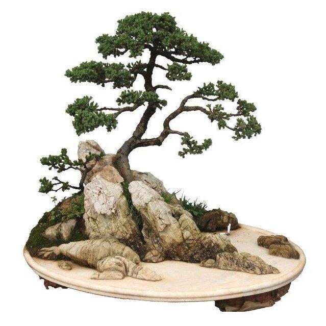 我决定引导您前往其他网站的最佳网站