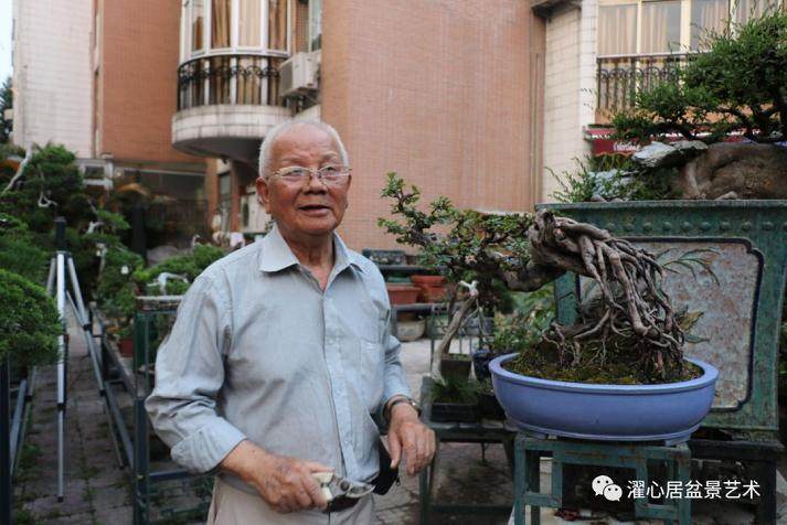 访谈岭南盆景艺术发展的铺路人系列报道