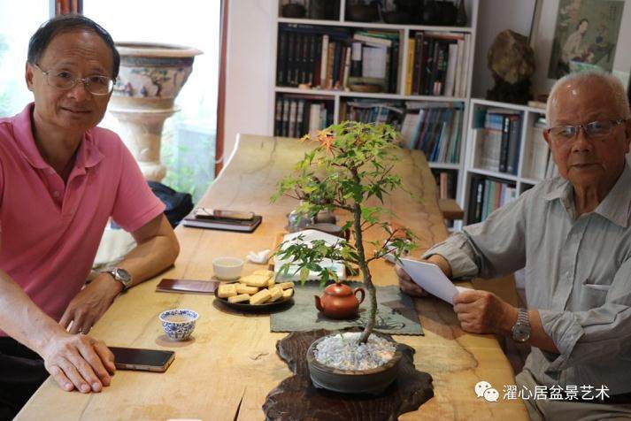 访谈岭南盆景艺术发展的铺路人系列报道