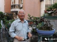 访谈岭南盆景艺术发展的铺路人系列报道