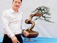 记中国最年轻的盆景艺术大师樊顺利