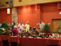 科罗拉多州丹佛市举行的美国盆景学会