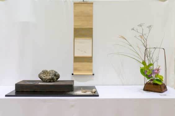 红木帝国盆景协会第35届年度活动