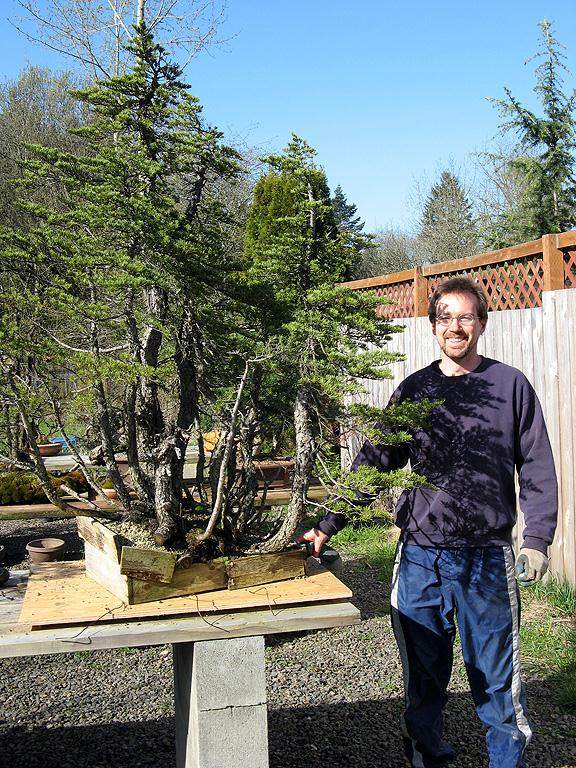 图解 美国人制作丛林式盆景的过程