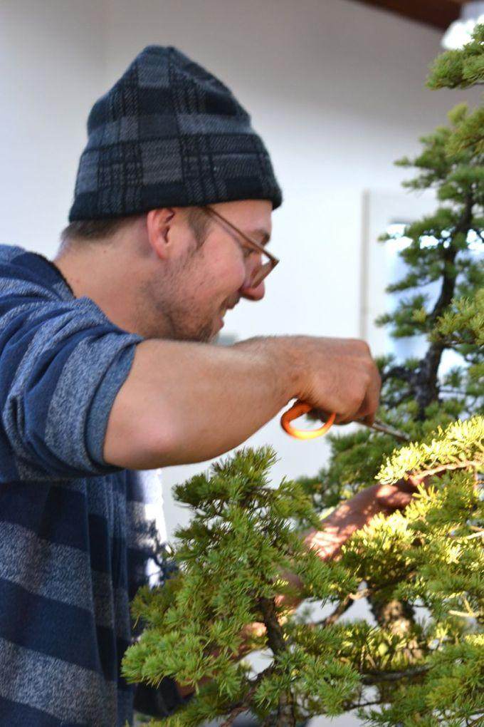 图解 美国人制作丛林式盆景的过程