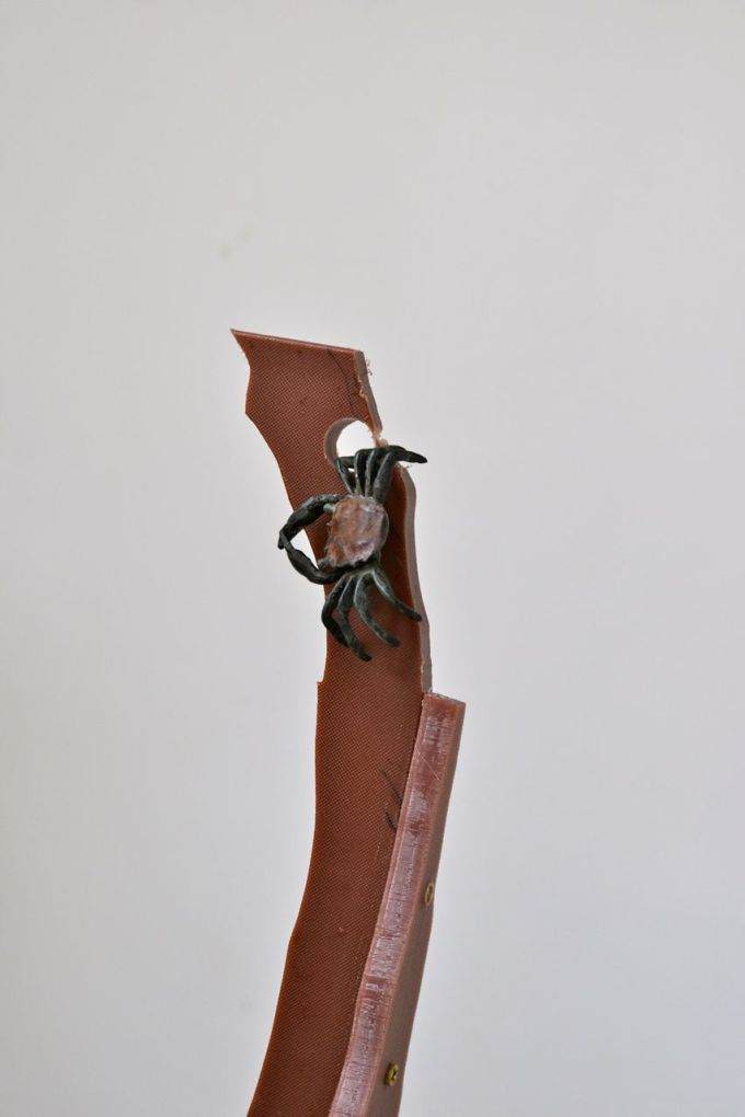 图解 现场演示藤枫盆景的制作过程