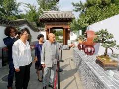 中国园林博物馆主办盆玩雅趣-中国盆景艺术展