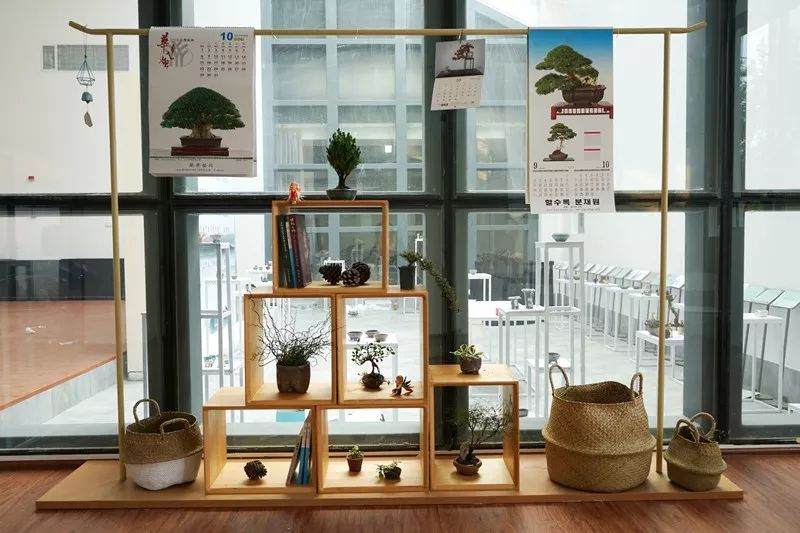 上海植物园2018秋季&ldquo;海style&rdquo;的盆景展
