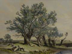 九江加强对盆景市场的管理 制止上庐山采挖树蔸