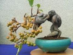 都江堰市以川派盆景产业化发展思路指导农村工作