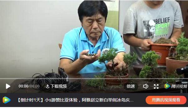 残疾人士通过学盆景解决就业