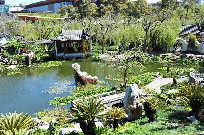 澳大利亚第二届世界盆景艺术创作大会