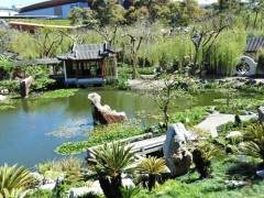 澳大利亚第二届世界盆景艺术创作大会