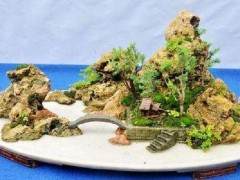 南京假山盆景摔出树叶化石