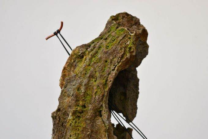 如何制作西方铁杉风格的盆景？