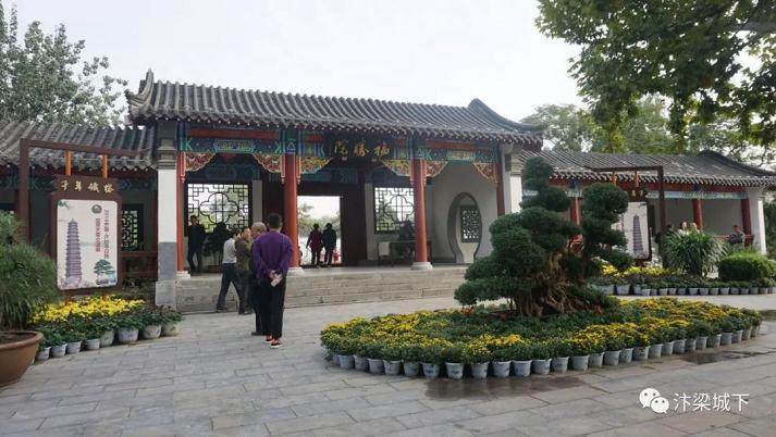 开封中日韩盆景艺菊交流展开幕式图集