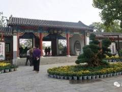 开封中日韩盆景艺菊交流展开幕式图集