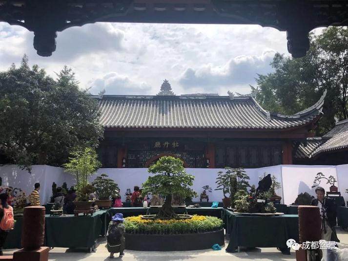  2018年9月27日 成都市第二十二届盆景展