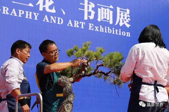 2018临沂秋季盆景展成功举行