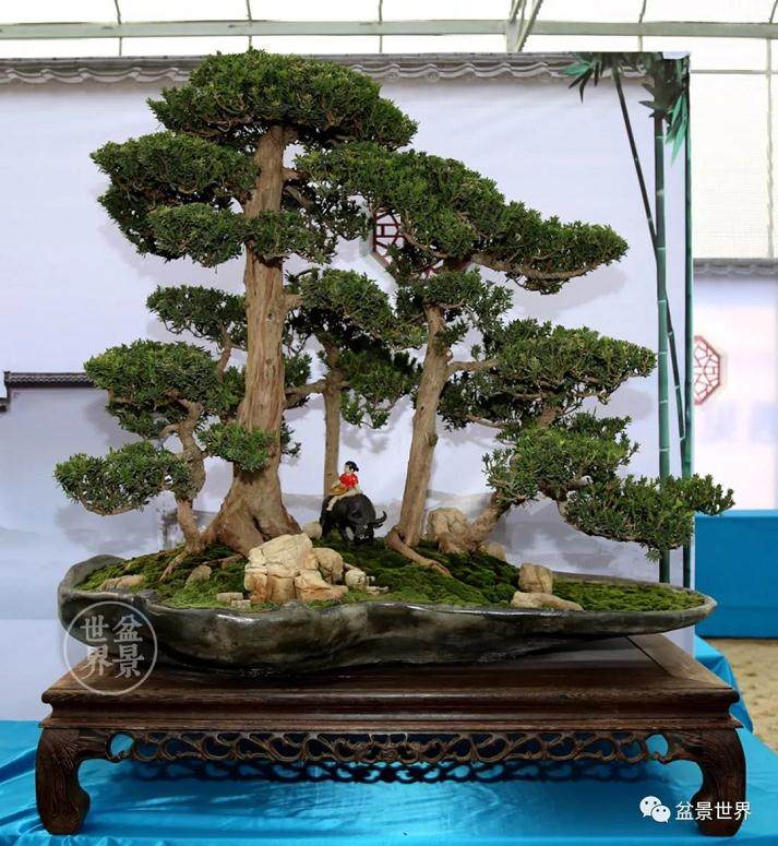 2018临沂秋季盆景展成功举行