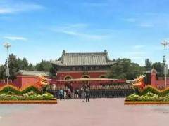 周口第六届盆景精品展即将开幕