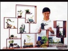 重庆北碚区静观盆景协会新创意变革工艺台